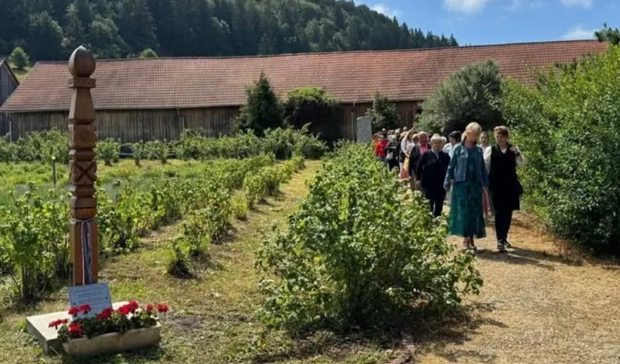 Harghita: Zilele Plantelor Medicinale din Ținutul Secuiesc, în weekend, la Șumuleu Ciuc
