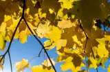Vremea în septembrie. Temperaturi peste normal și precipitații deficitare în prima parte a lunii