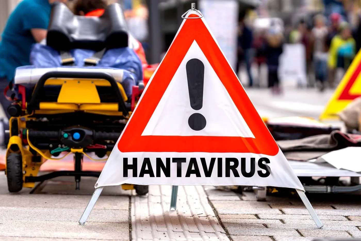 Hantavirus (foto: profimedia)