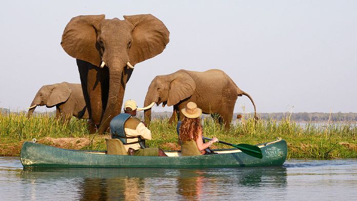 safari_poza_reprezentativa_696x392