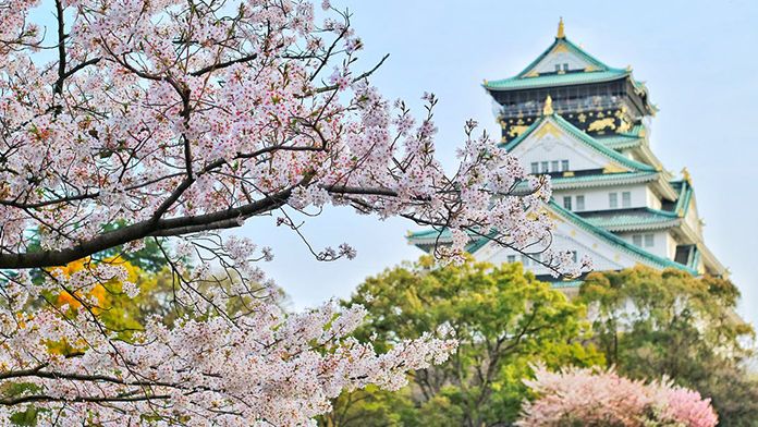 spring_in_japan_696x392