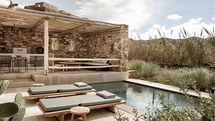 the rooster_poza_repr_696x392