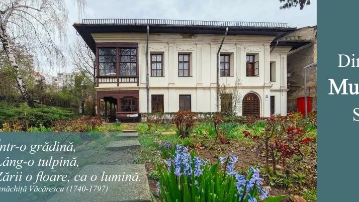 Muzeul Theodor Pallady