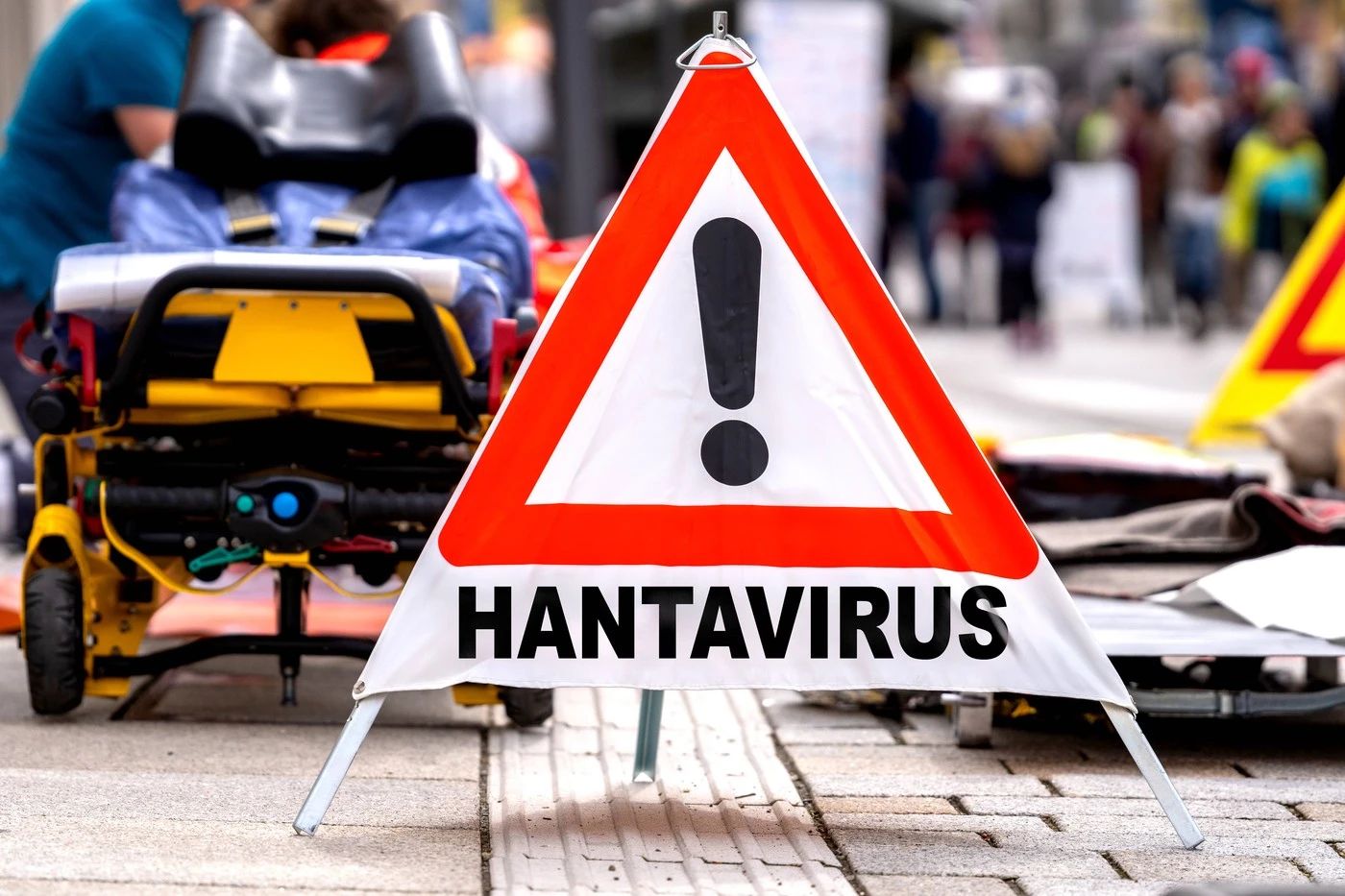 Hantavirus (foto: profimedia)
