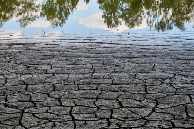 Europa, lovită de un nou val extrem de căldură: temperaturile pot ajunge la 50 de grade, iar incendiile se extind