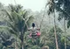 Top 10 hoteluri Bali